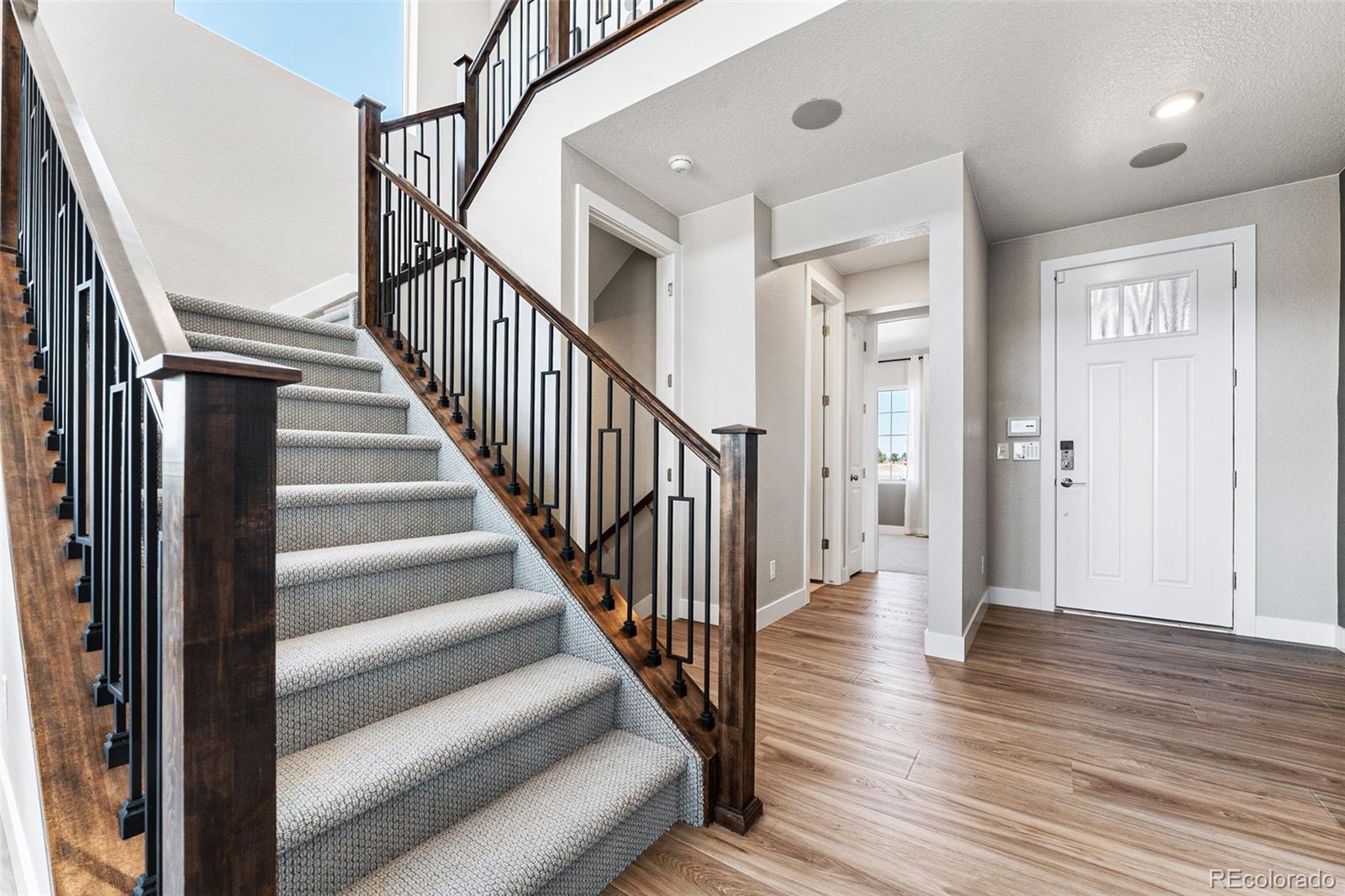 MLS Image #8 for 3264  fervid street,castle rock, Colorado