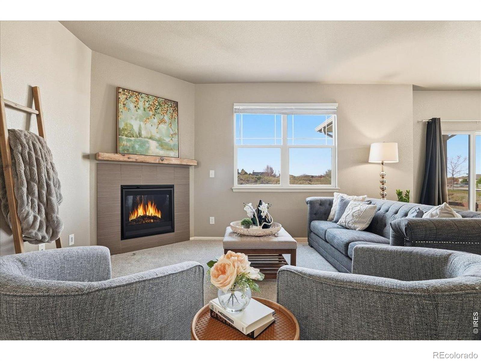 MLS Image #10 for 2178  longfin drive,windsor, Colorado