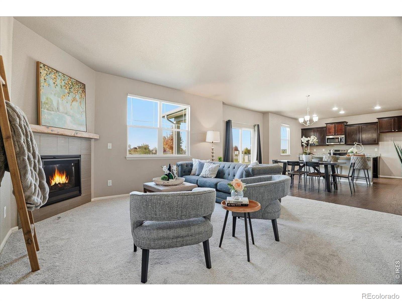 MLS Image #15 for 2178  longfin drive,windsor, Colorado