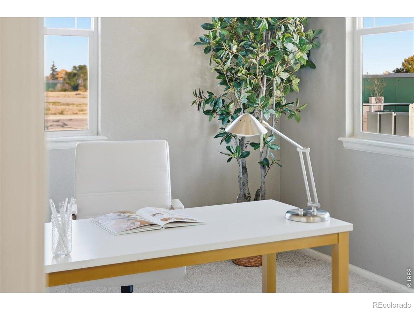 MLS Image #3 for 2178  longfin drive,windsor, Colorado