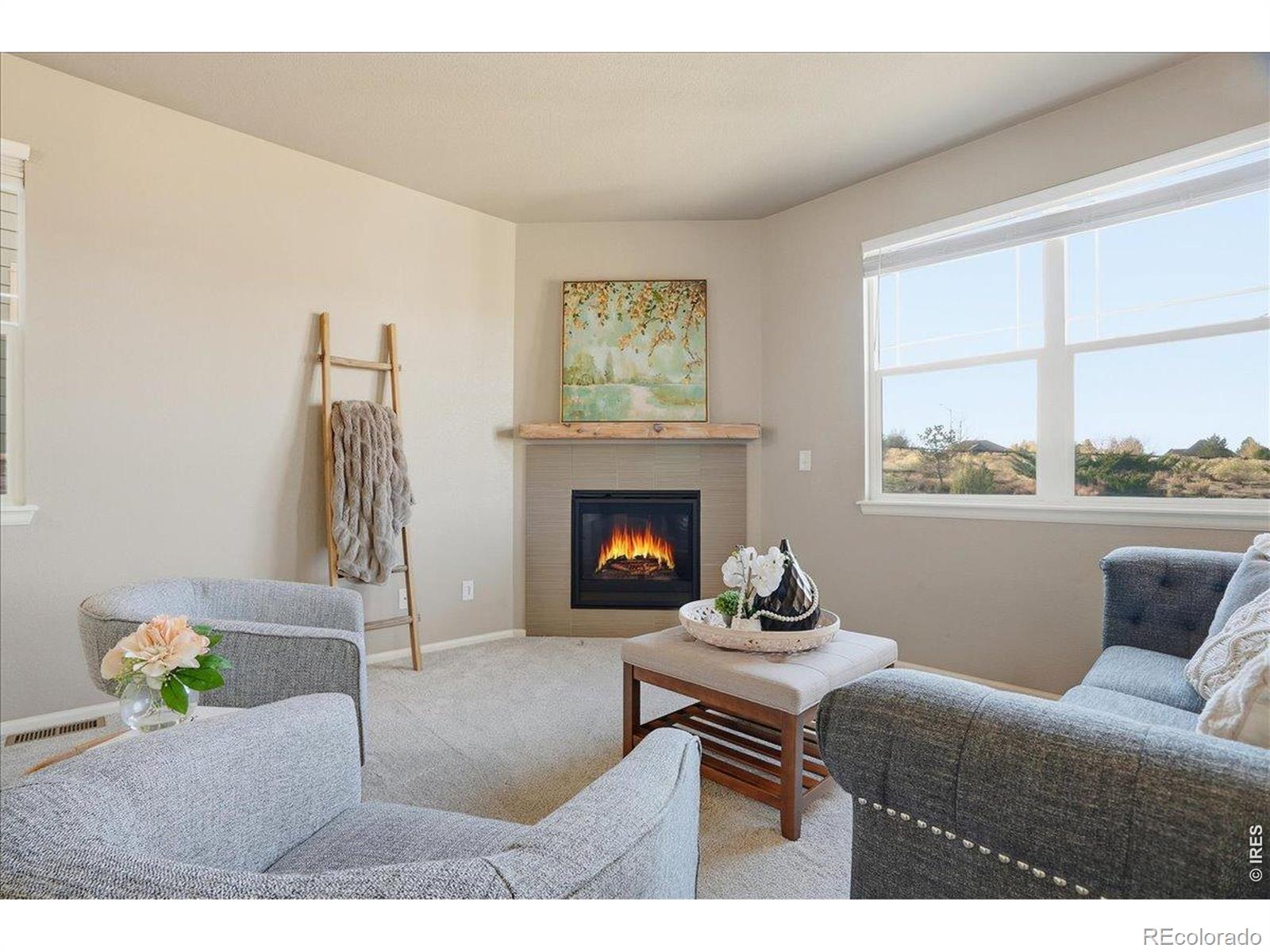 MLS Image #9 for 2178  longfin drive,windsor, Colorado