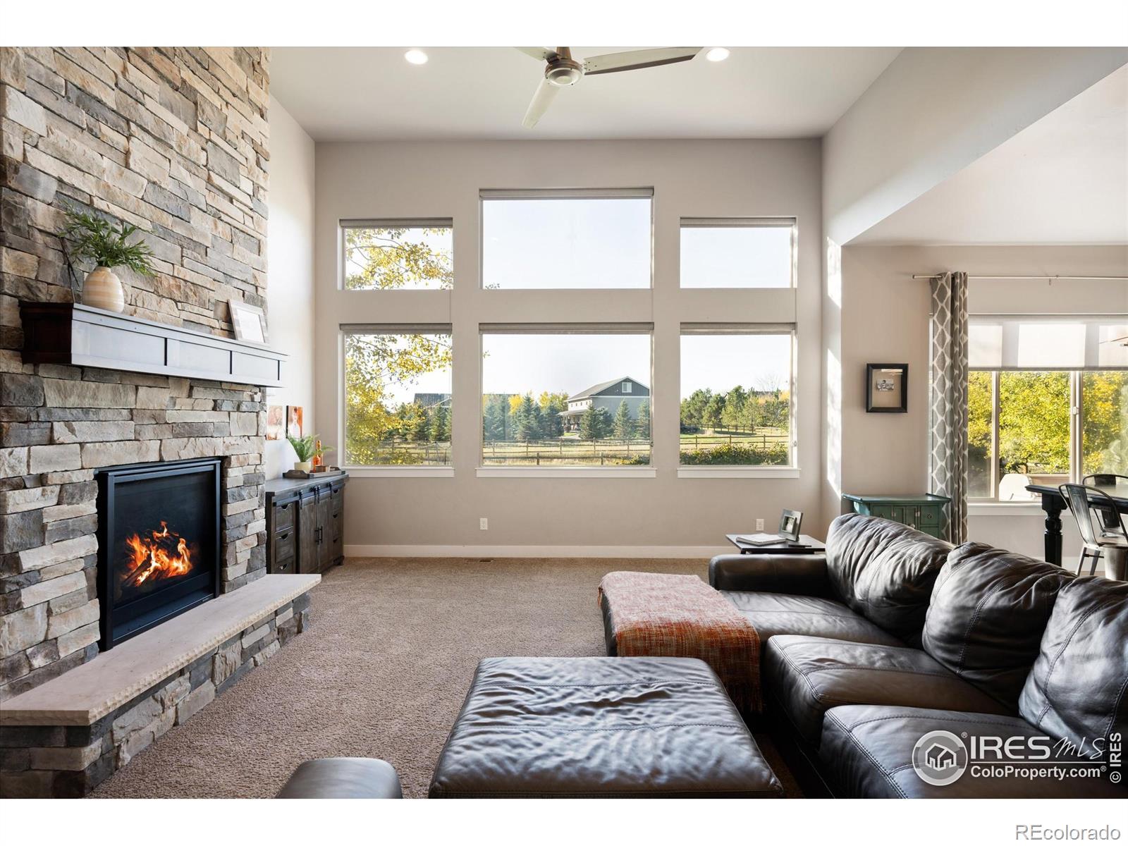 MLS Image #6 for 8313  cherry blossom drive,windsor, Colorado