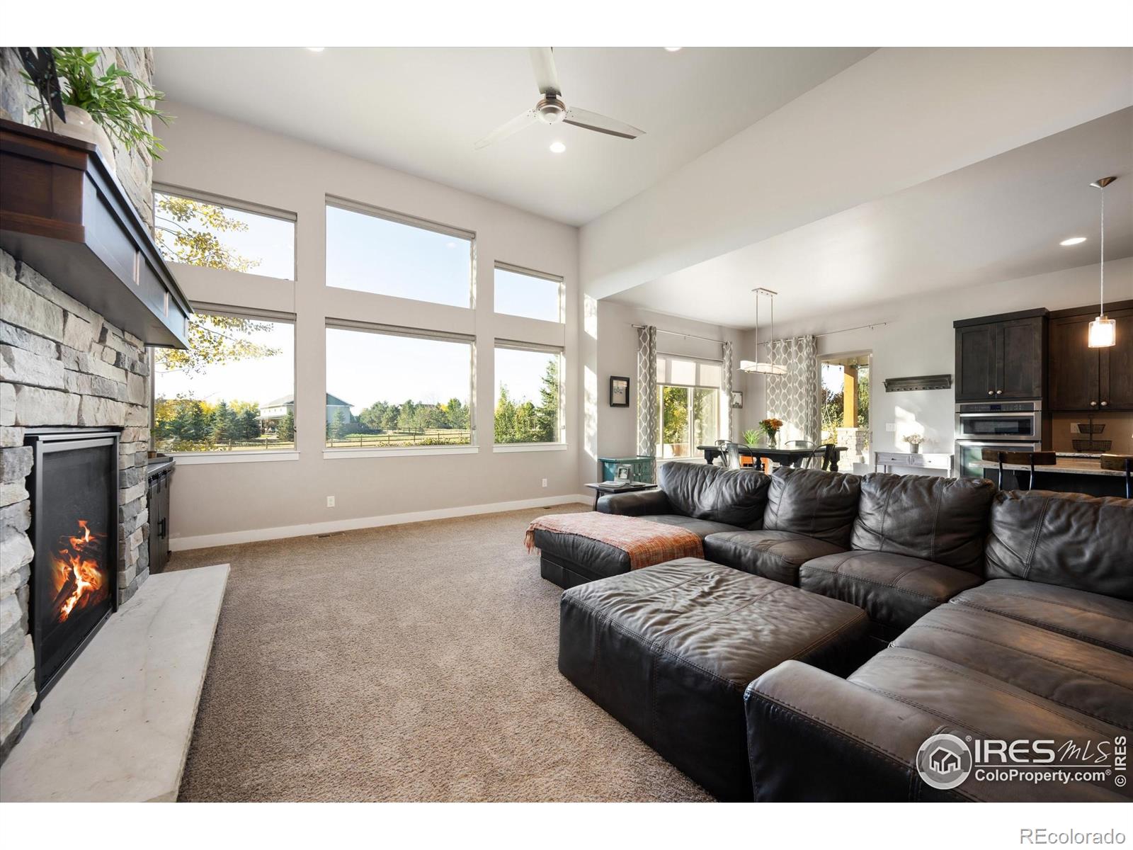 MLS Image #7 for 8313  cherry blossom drive,windsor, Colorado