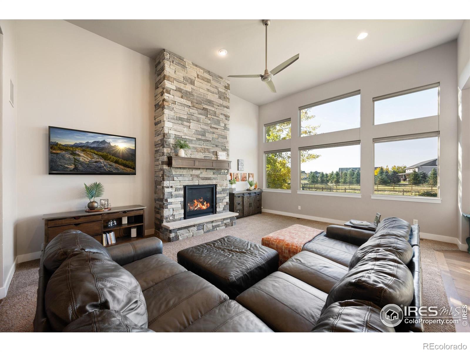 MLS Image #8 for 8313  cherry blossom drive,windsor, Colorado