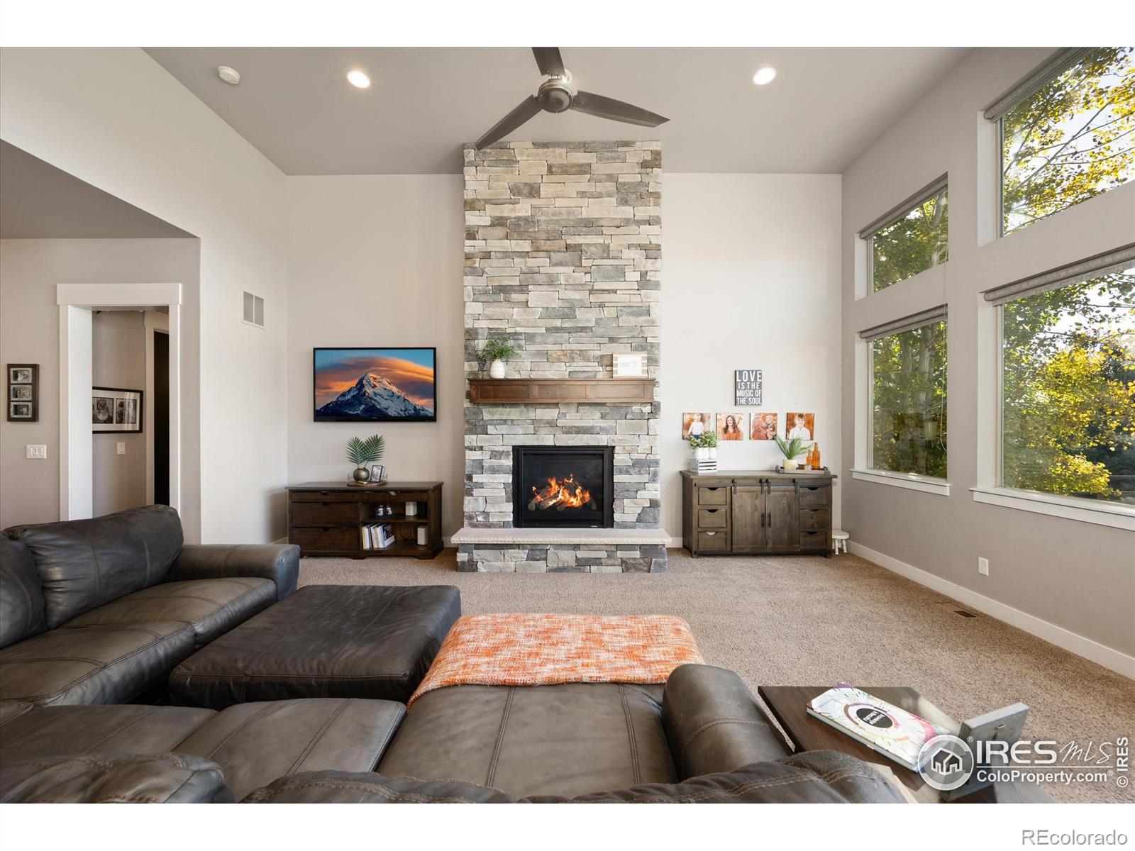 MLS Image #9 for 8313  cherry blossom drive,windsor, Colorado