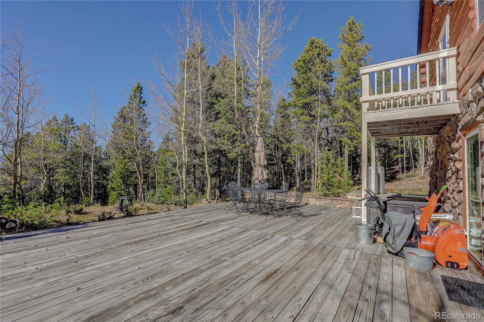MLS Image #10 for 11142  conifer mountain road,conifer, Colorado