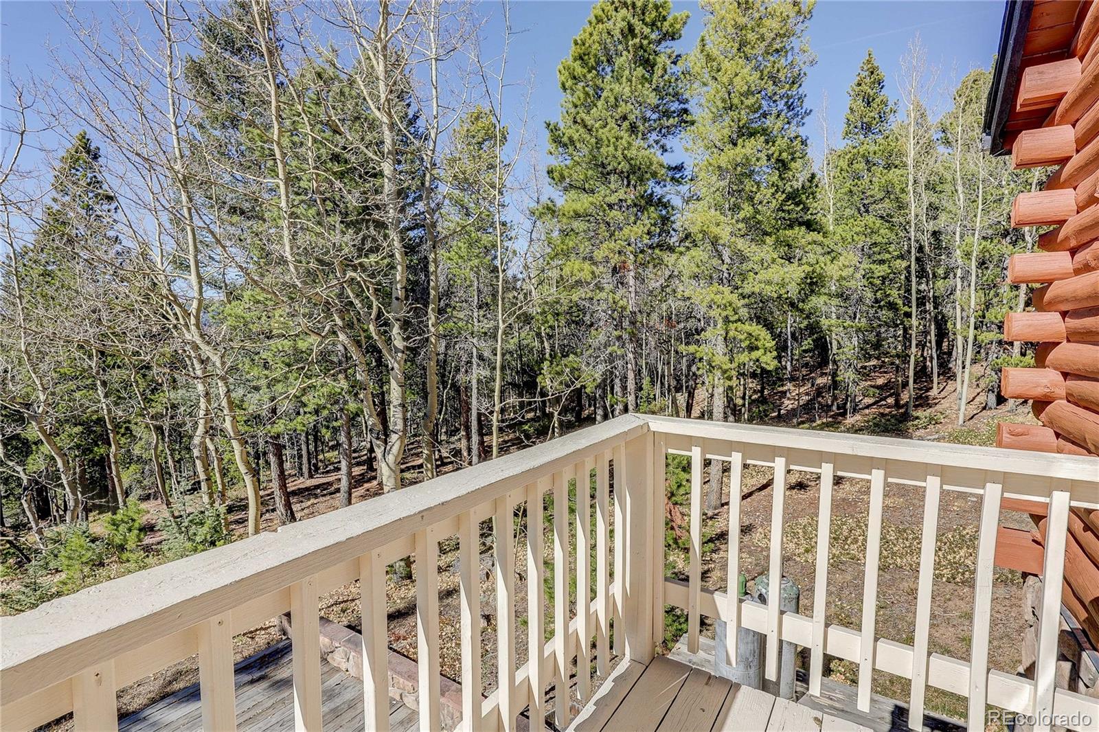 MLS Image #24 for 11142  conifer mountain road,conifer, Colorado