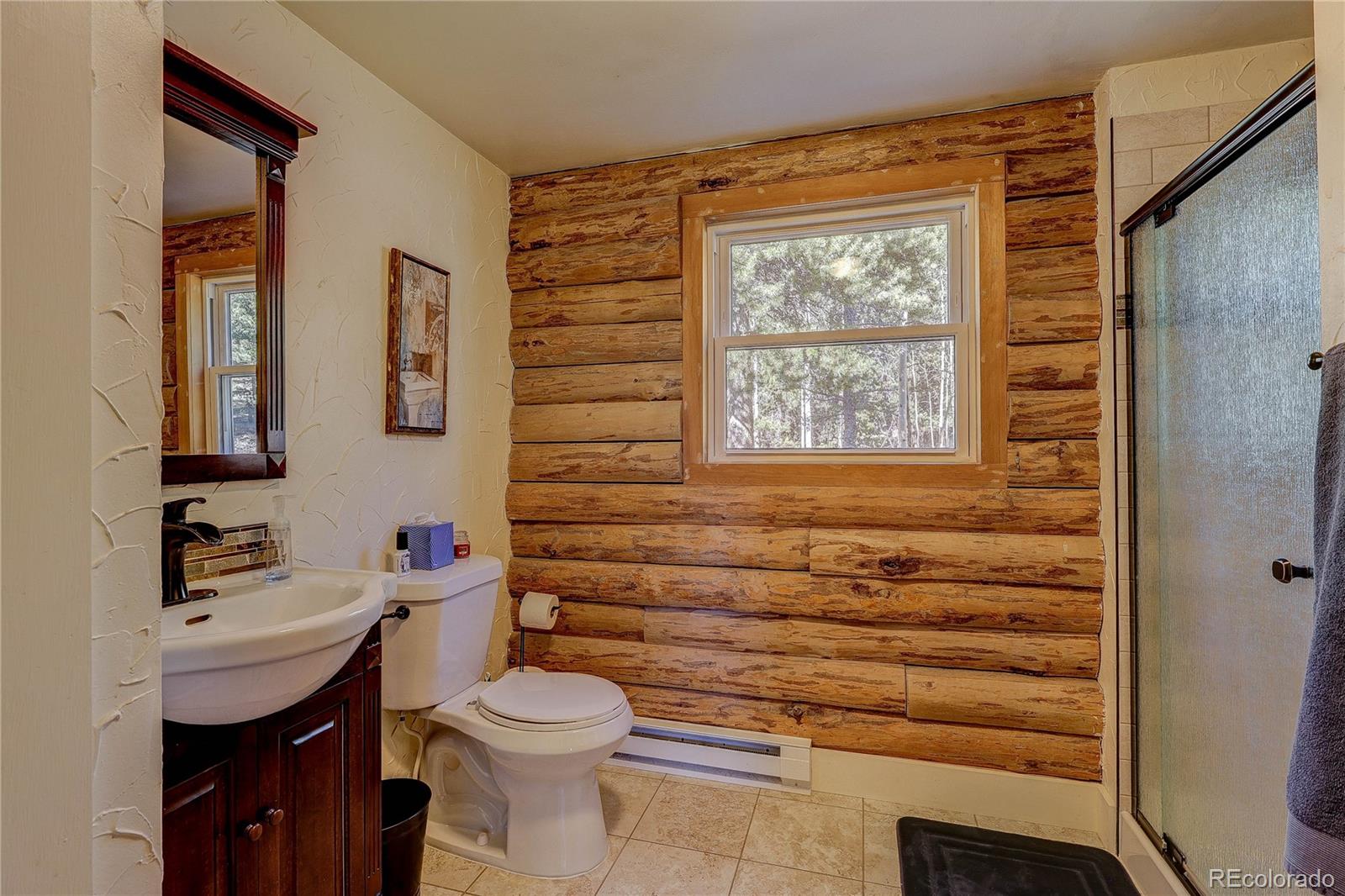 MLS Image #25 for 11142  conifer mountain road,conifer, Colorado