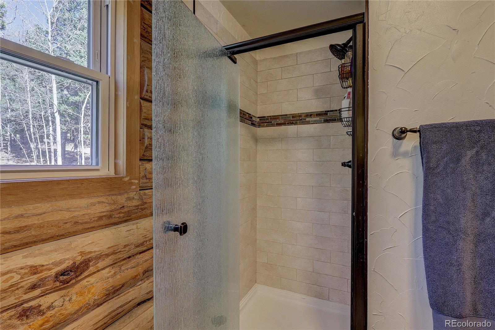 MLS Image #26 for 11142  conifer mountain road,conifer, Colorado