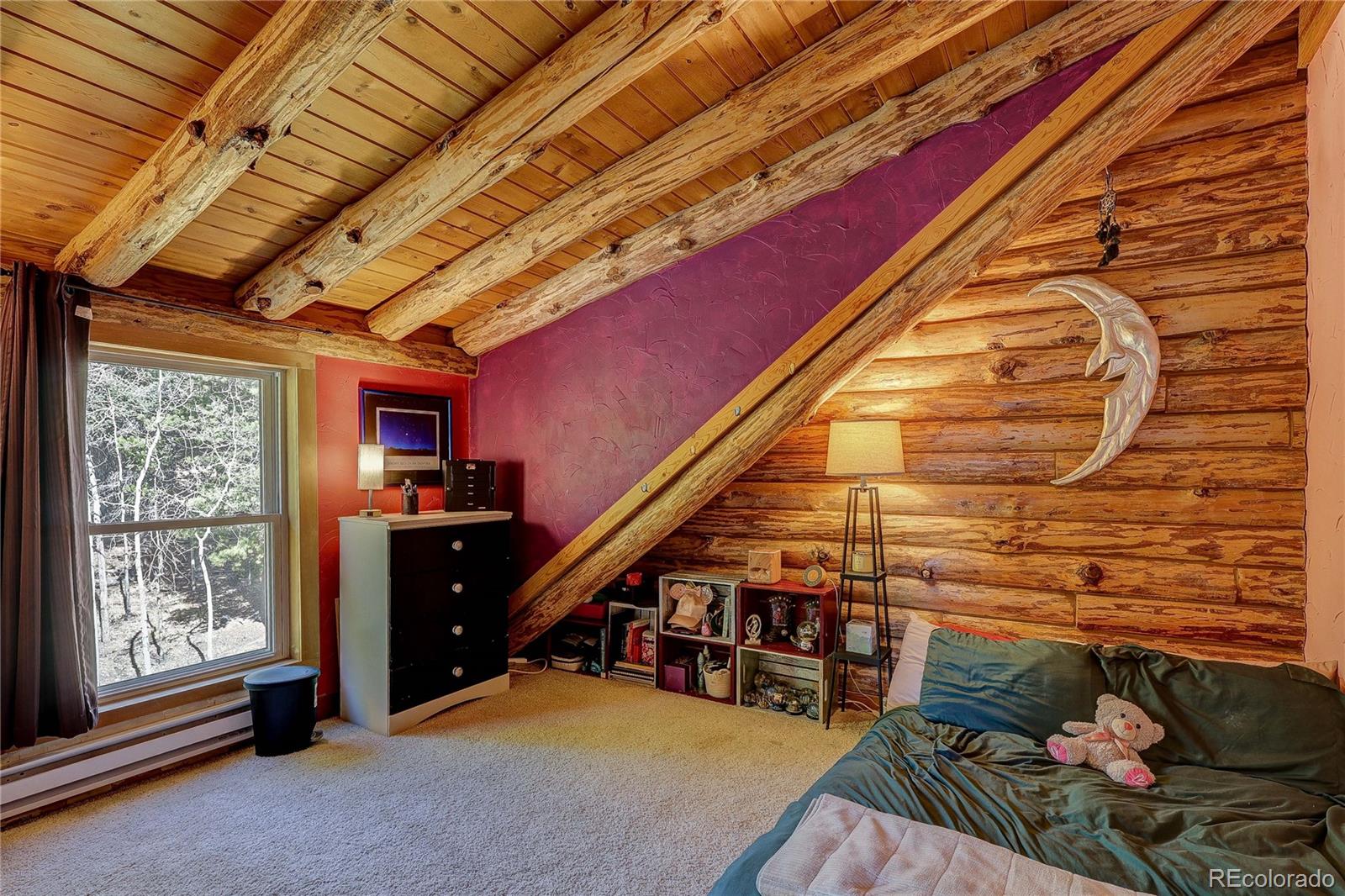 MLS Image #37 for 11142  conifer mountain road,conifer, Colorado