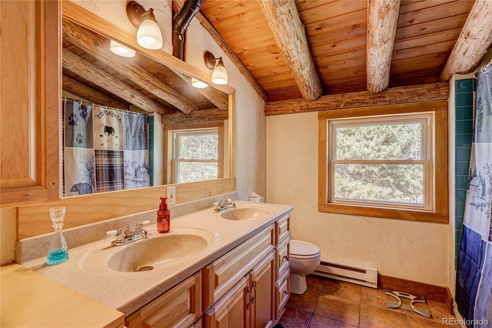 MLS Image #39 for 11142  conifer mountain road,conifer, Colorado