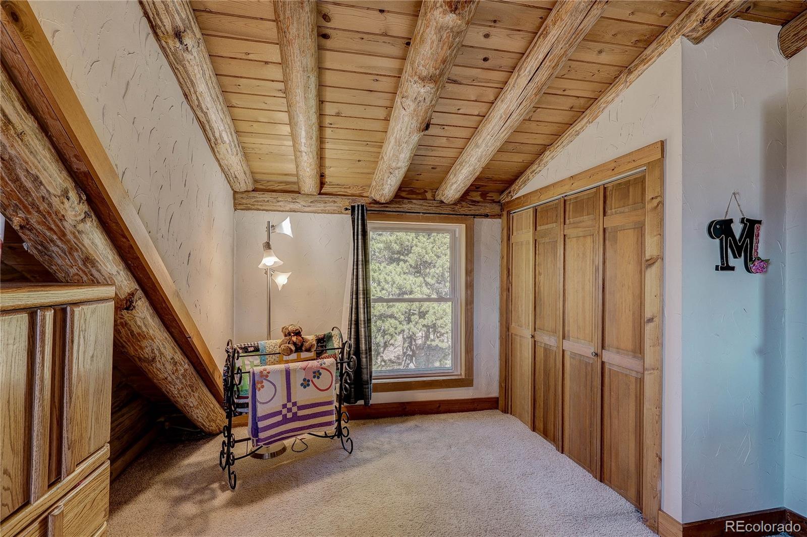 MLS Image #41 for 11142  conifer mountain road,conifer, Colorado