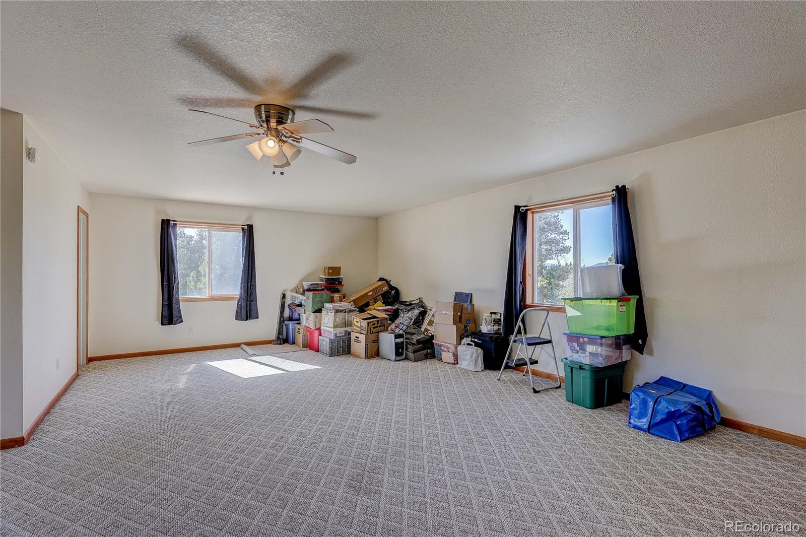 MLS Image #44 for 11142  conifer mountain road,conifer, Colorado