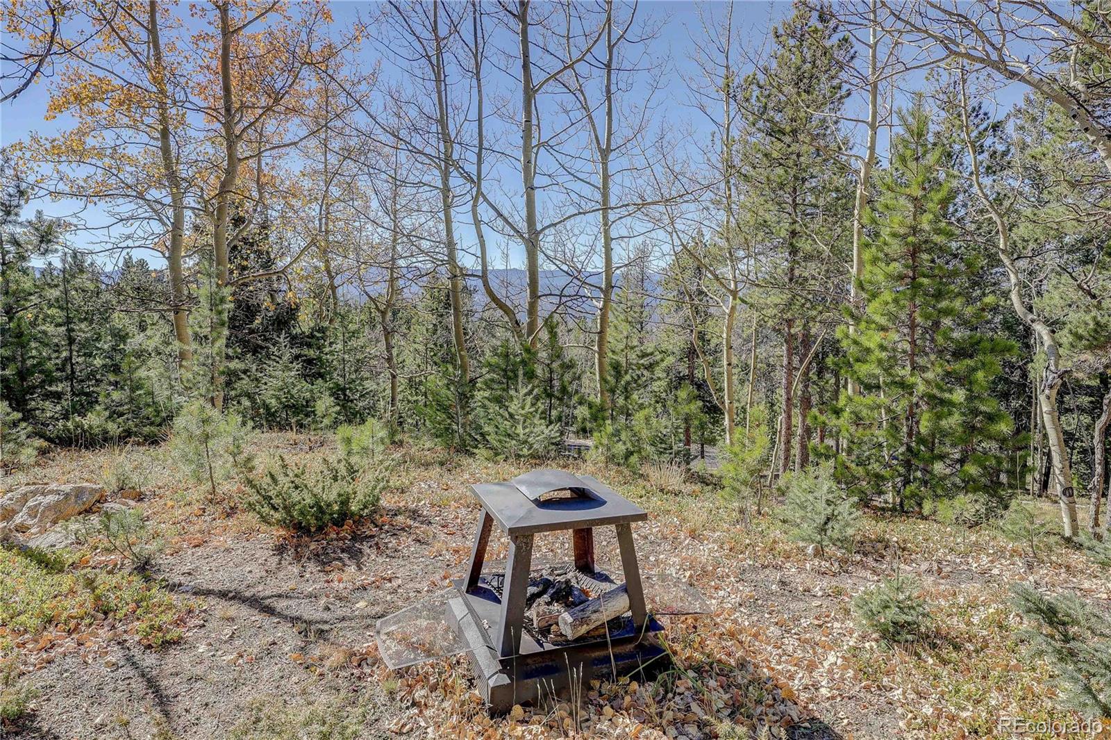 MLS Image #9 for 11142  conifer mountain road,conifer, Colorado