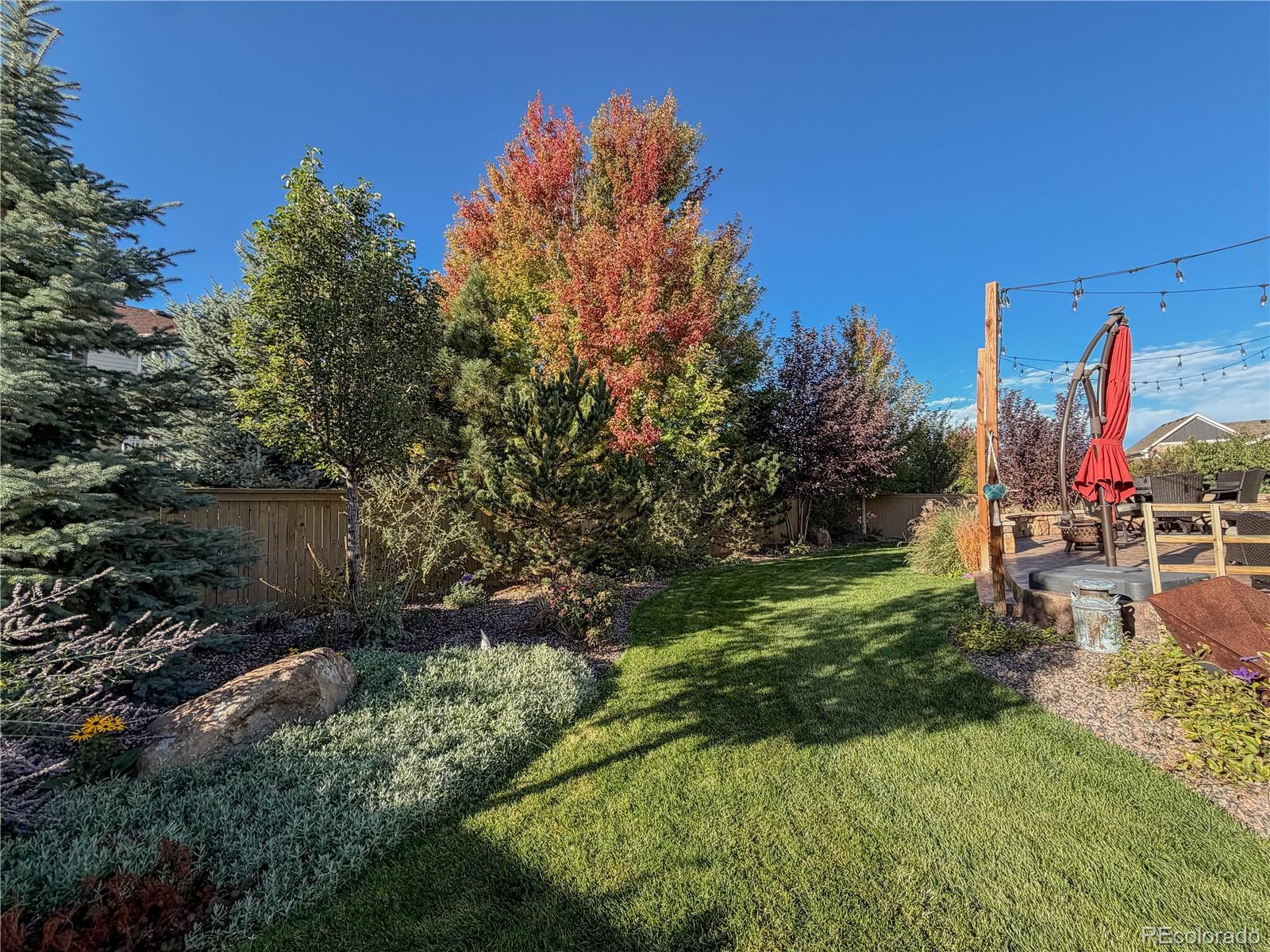 MLS Image #40 for 212  calhoun circle,castle rock, Colorado
