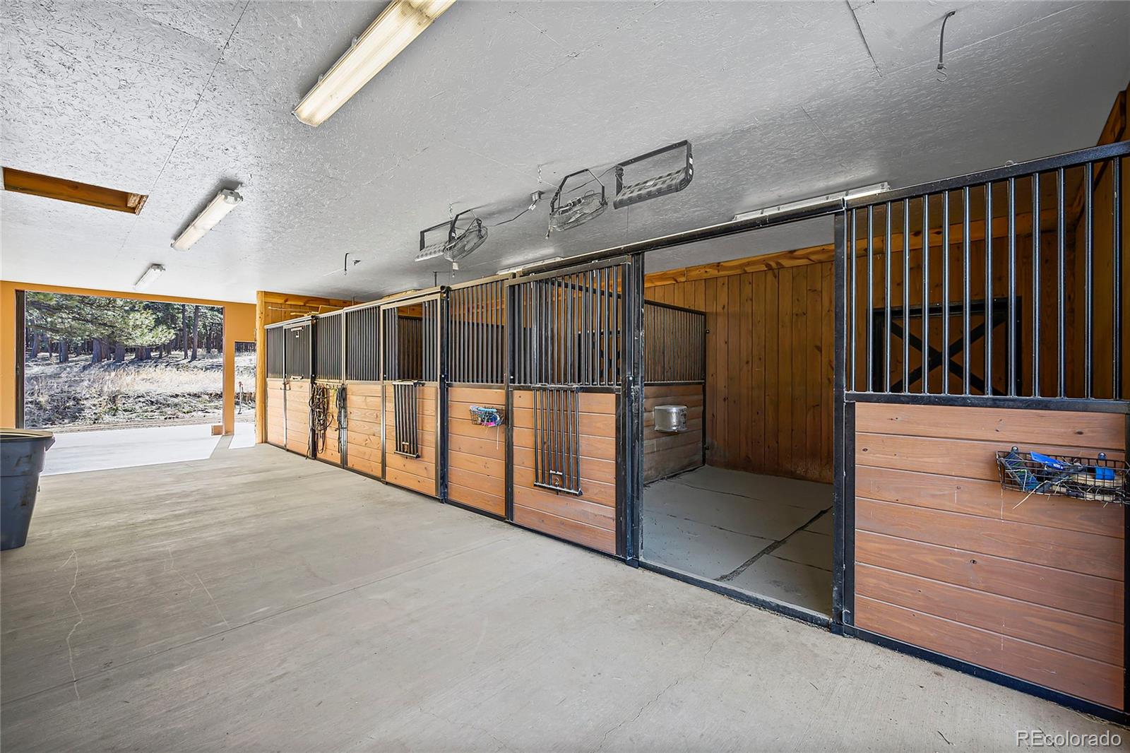 MLS Image #35 for 37506  pheasant run,elizabeth, Colorado