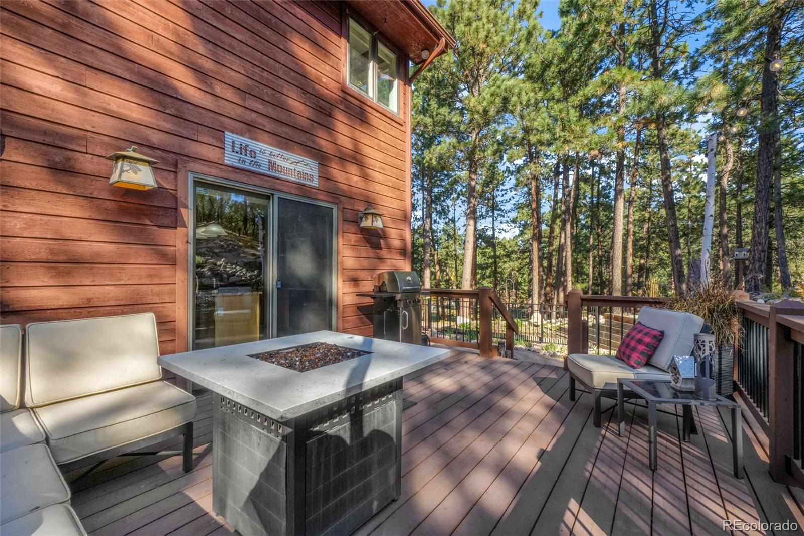MLS Image #18 for 17045  viscount court,monument, Colorado