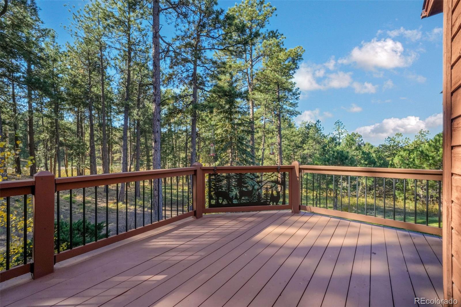 MLS Image #6 for 17045  viscount court,monument, Colorado