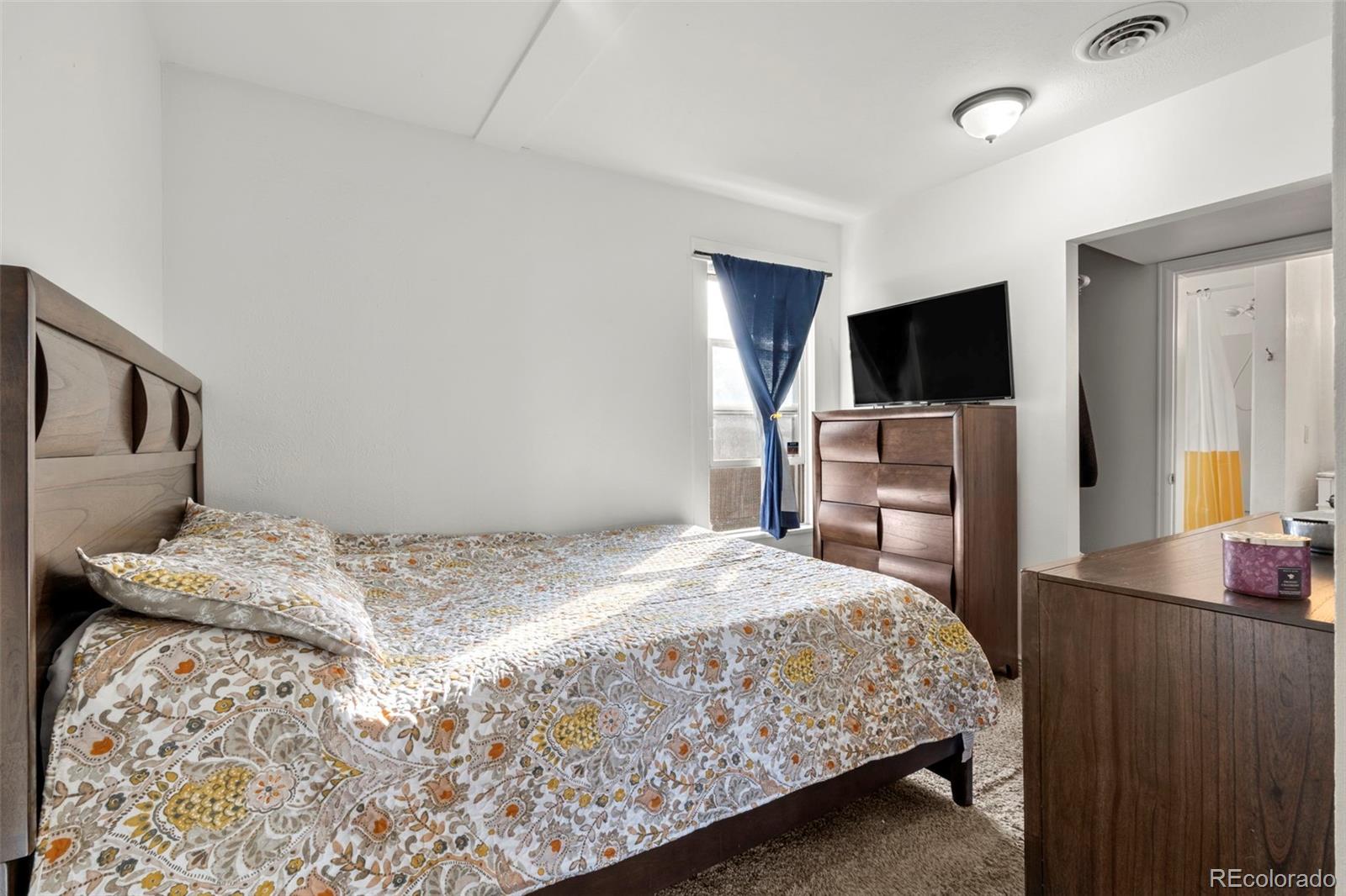 MLS Image #5 for 21 s king street,denver, Colorado