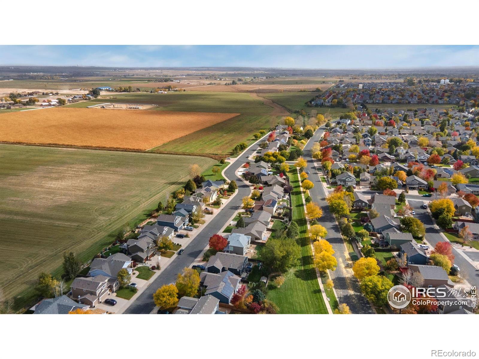 MLS Image #40 for 4324  onyx place,johnstown, Colorado