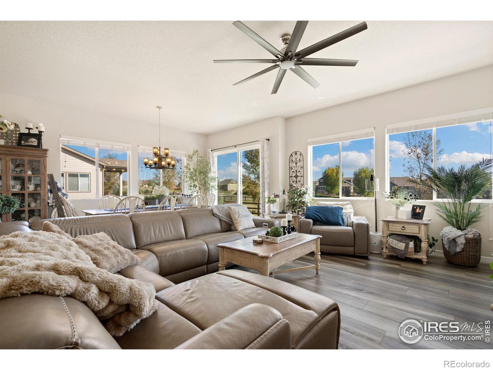 MLS Image #15 for 923  pitch fork drive,windsor, Colorado