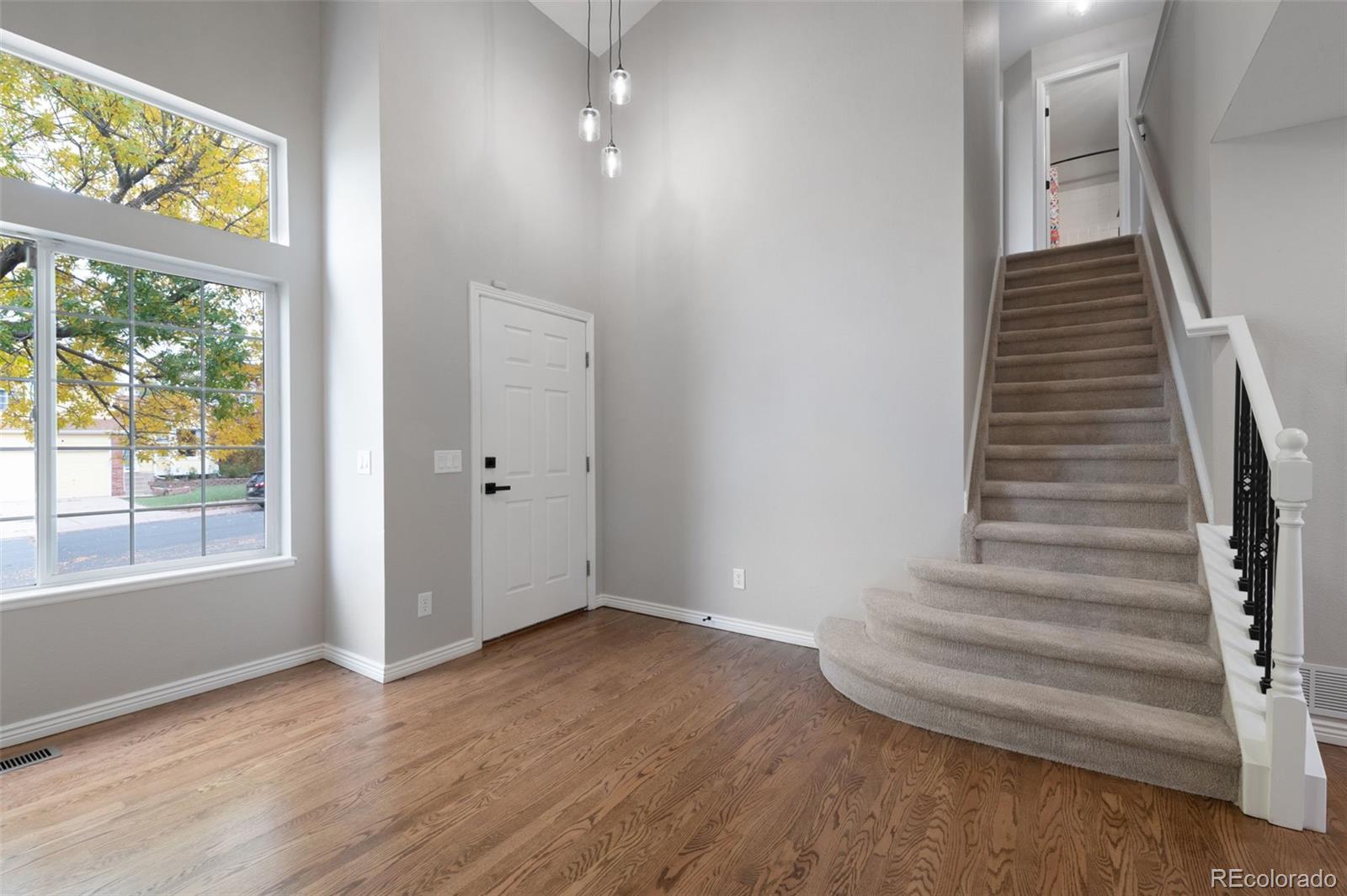 MLS Image #3 for 5253  pine haven drive,colorado springs, Colorado
