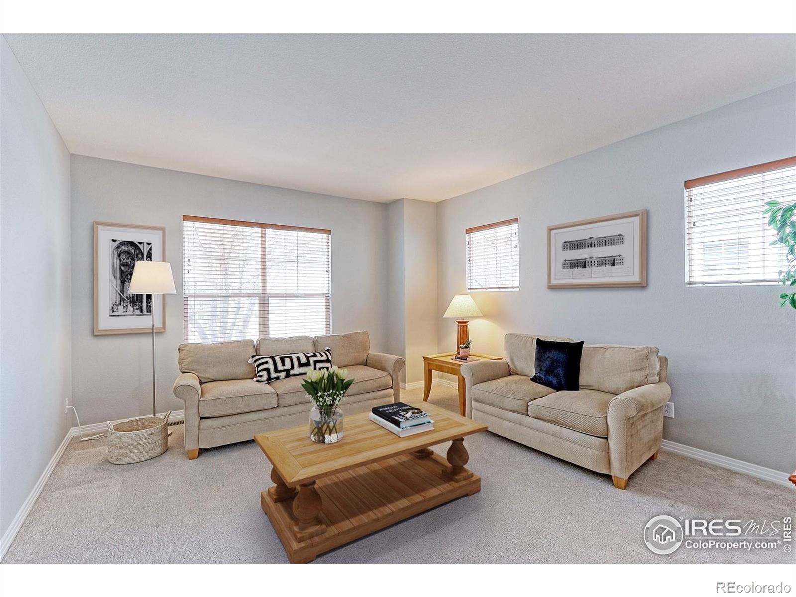 MLS Image #3 for 14214  lakeview lane,broomfield, Colorado