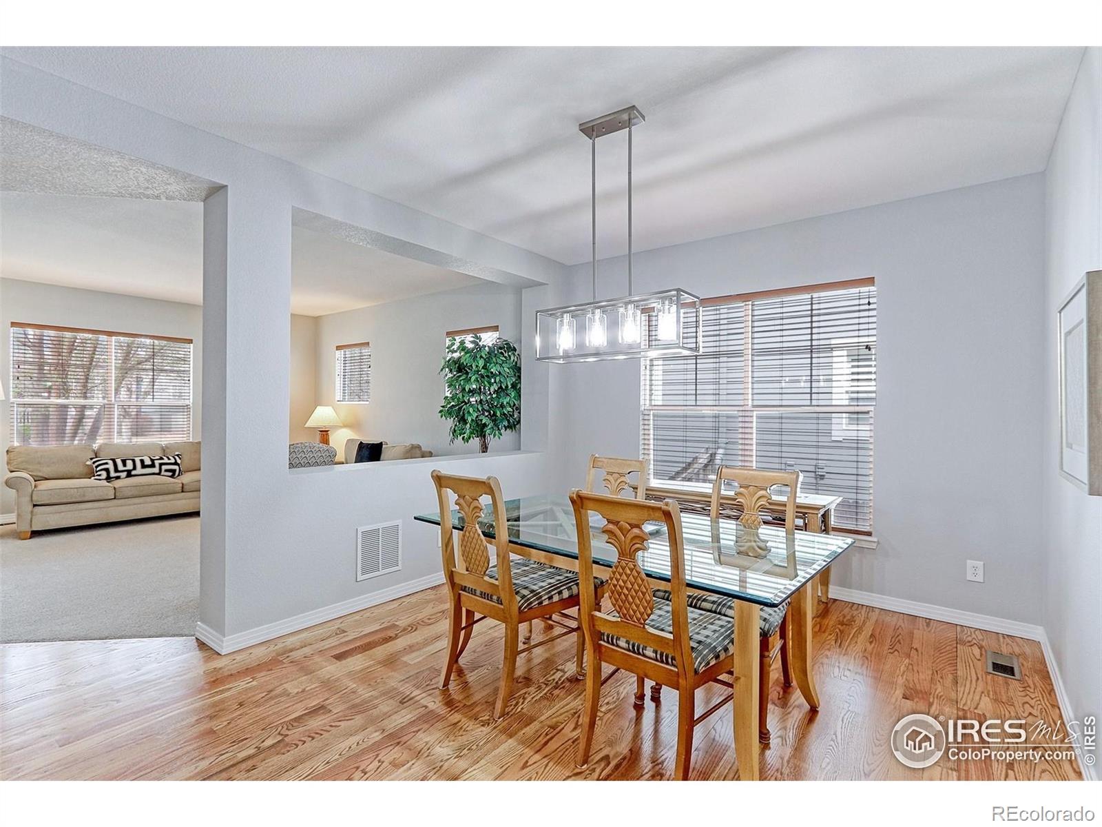 MLS Image #4 for 14214  lakeview lane,broomfield, Colorado