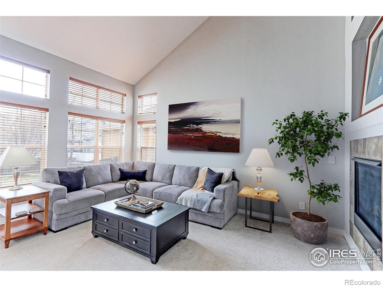 MLS Image #7 for 14214  lakeview lane,broomfield, Colorado