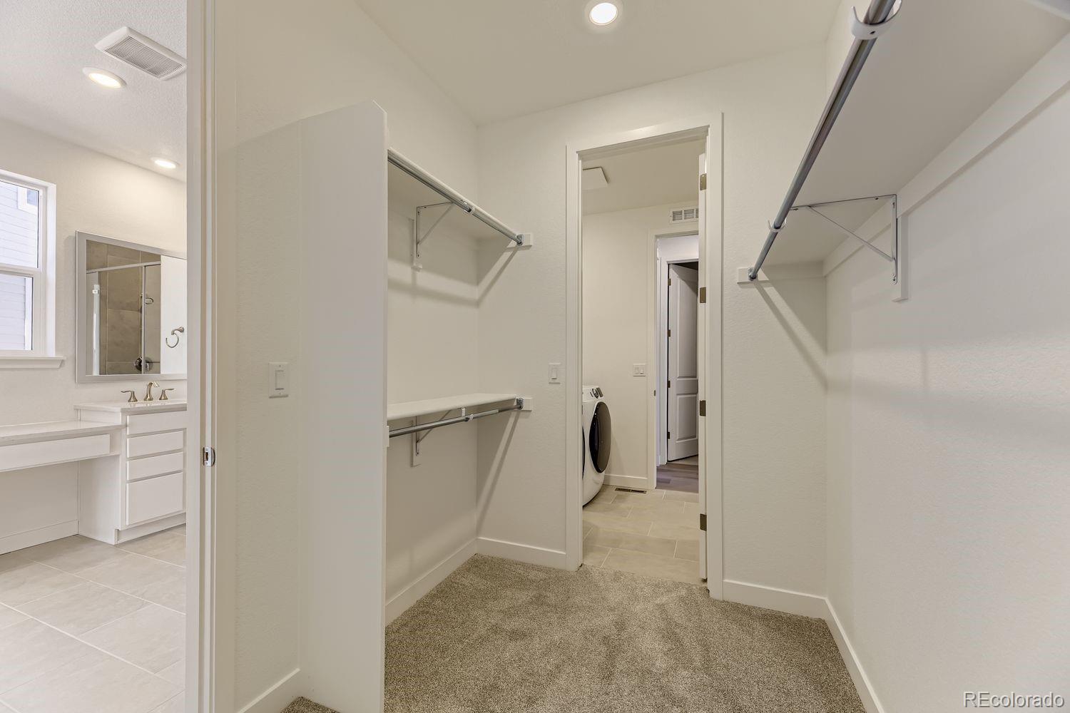 MLS Image #7 for 3954  buttongrass trail,castle rock, Colorado