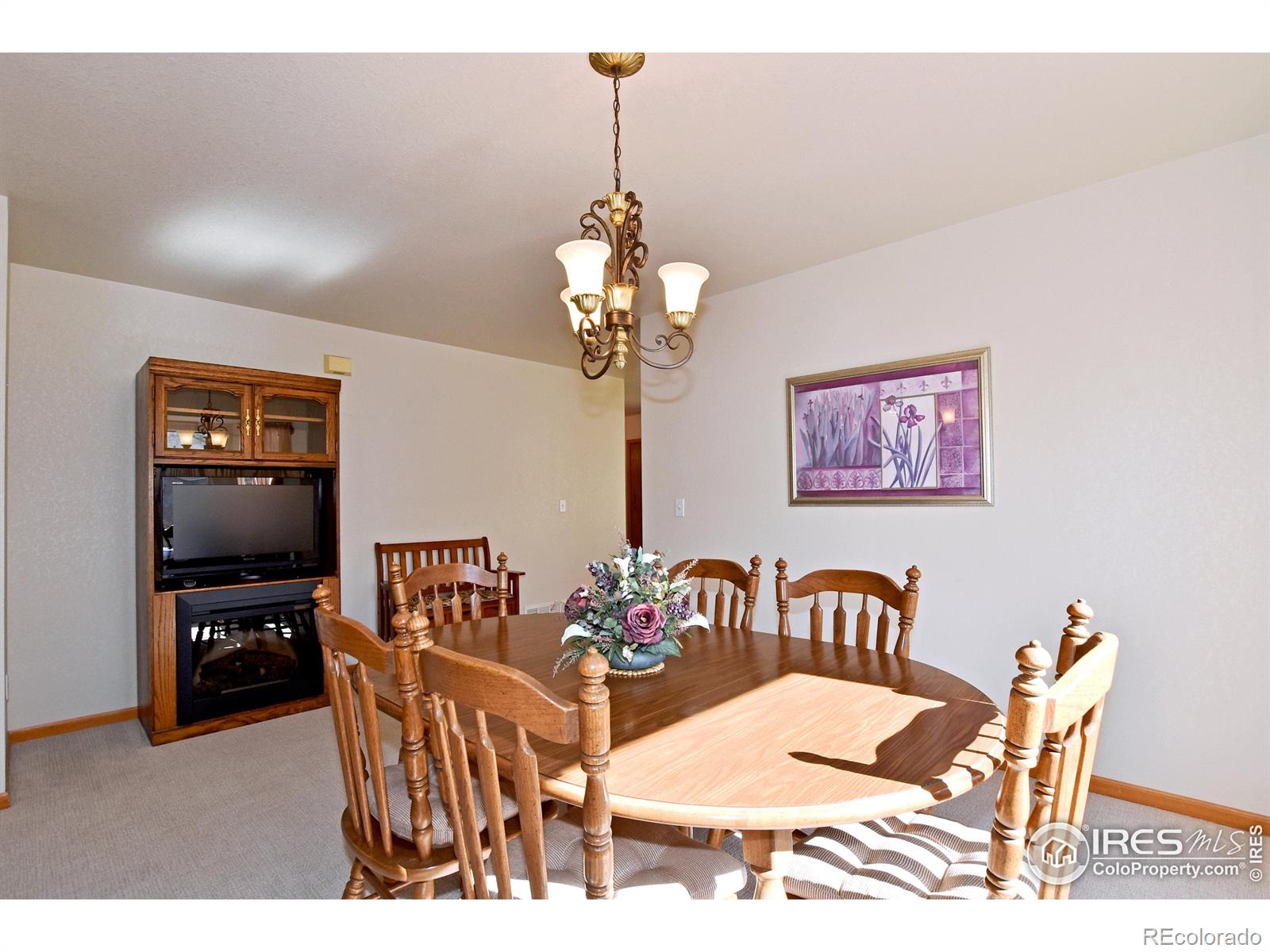 MLS Image #10 for 3902  penrose avenue,loveland, Colorado