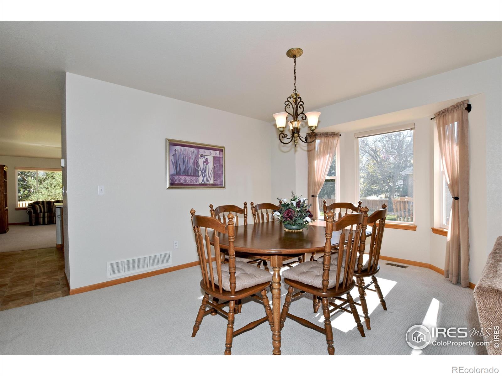 MLS Image #12 for 3902  penrose avenue,loveland, Colorado