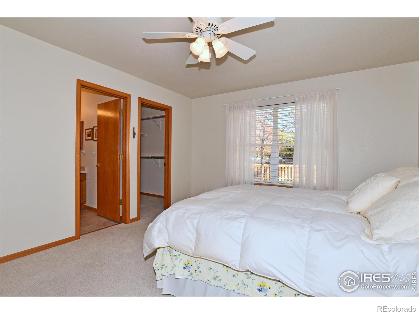 MLS Image #19 for 3902  penrose avenue,loveland, Colorado