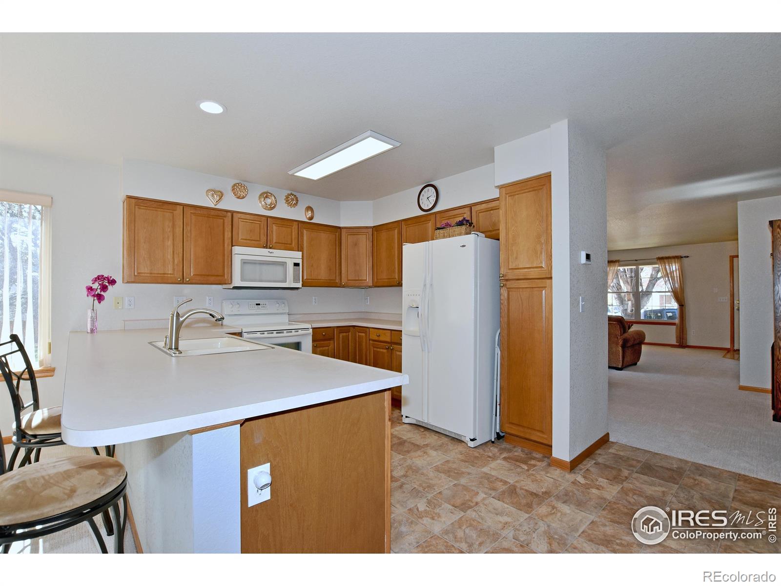 MLS Image #7 for 3902  penrose avenue,loveland, Colorado