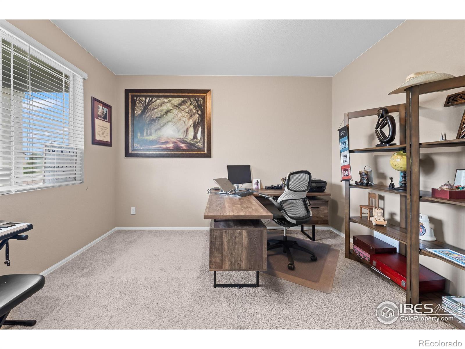 MLS Image #11 for 1961  rose petal drive,windsor, Colorado