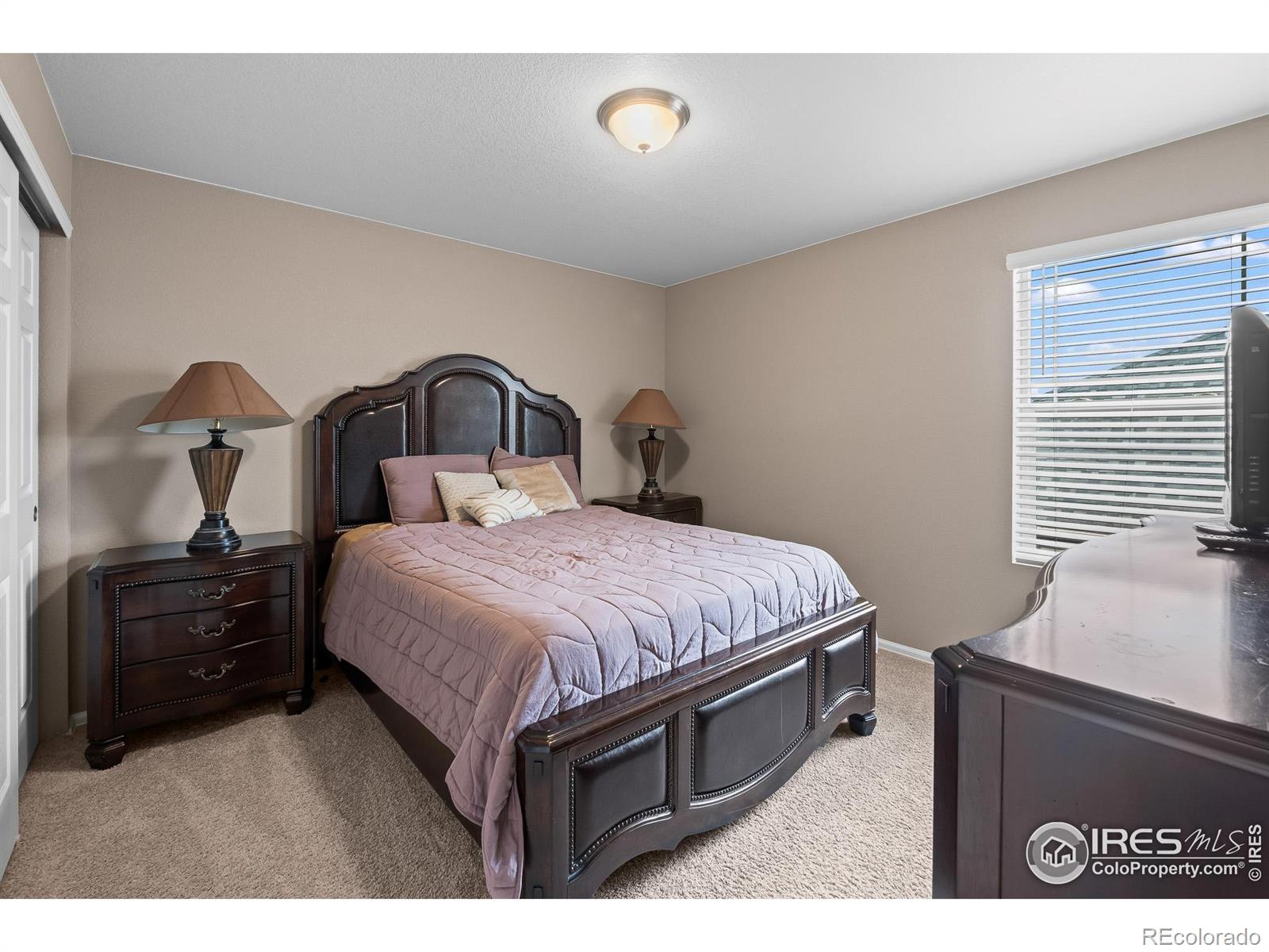 MLS Image #31 for 1961  rose petal drive,windsor, Colorado