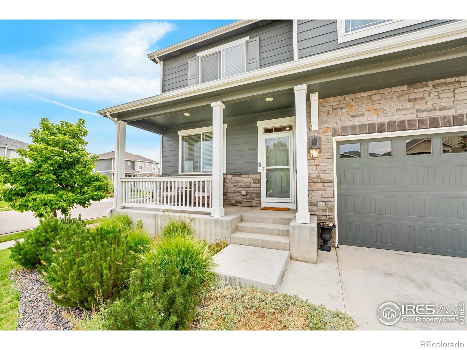 MLS Image #9 for 1961  rose petal drive,windsor, Colorado