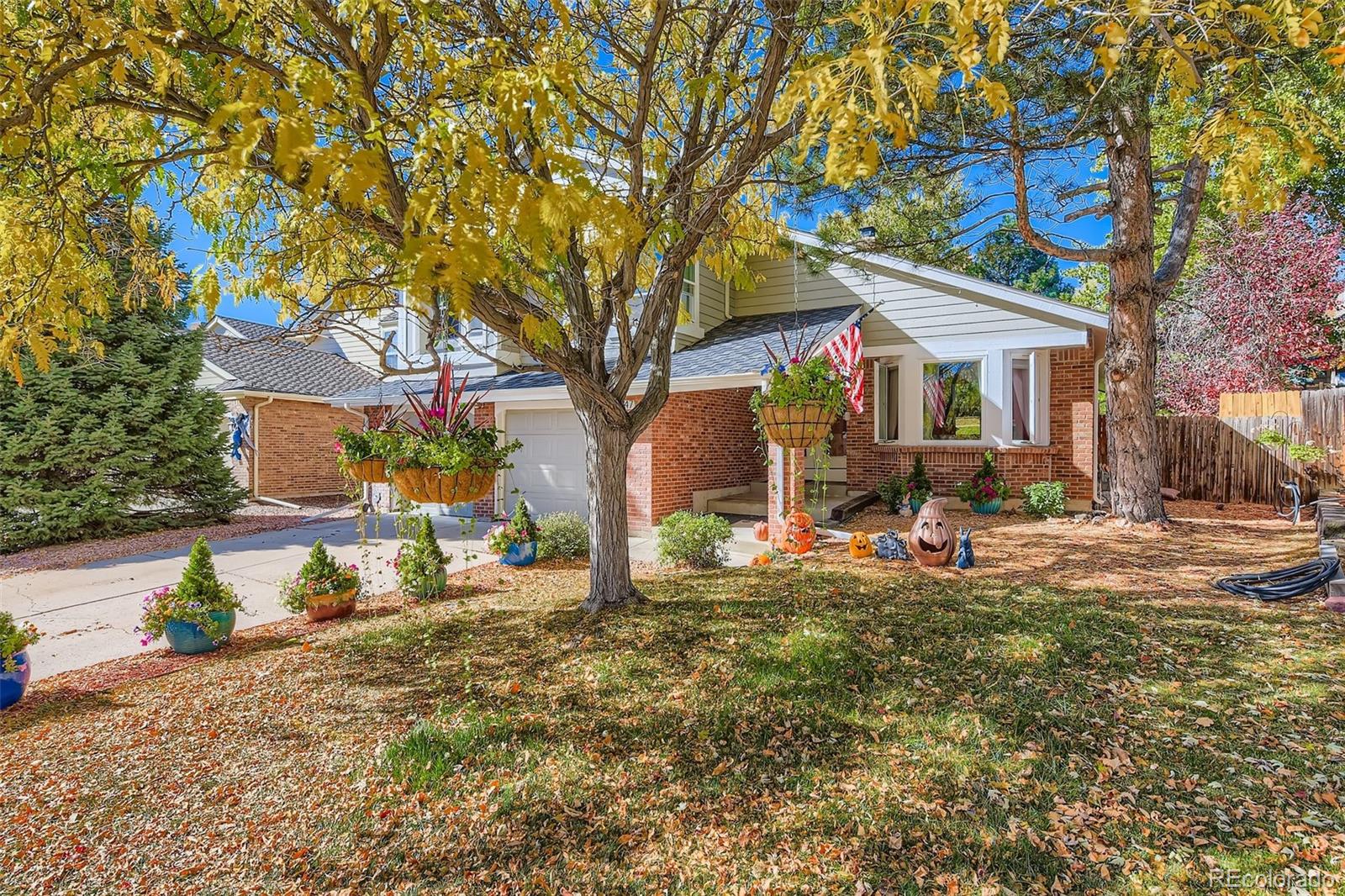 MLS Image #2 for 7747  gunsight pass,littleton, Colorado