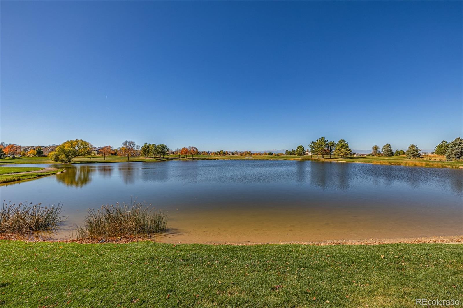 MLS Image #44 for 16502 e 111th drive,commerce city, Colorado