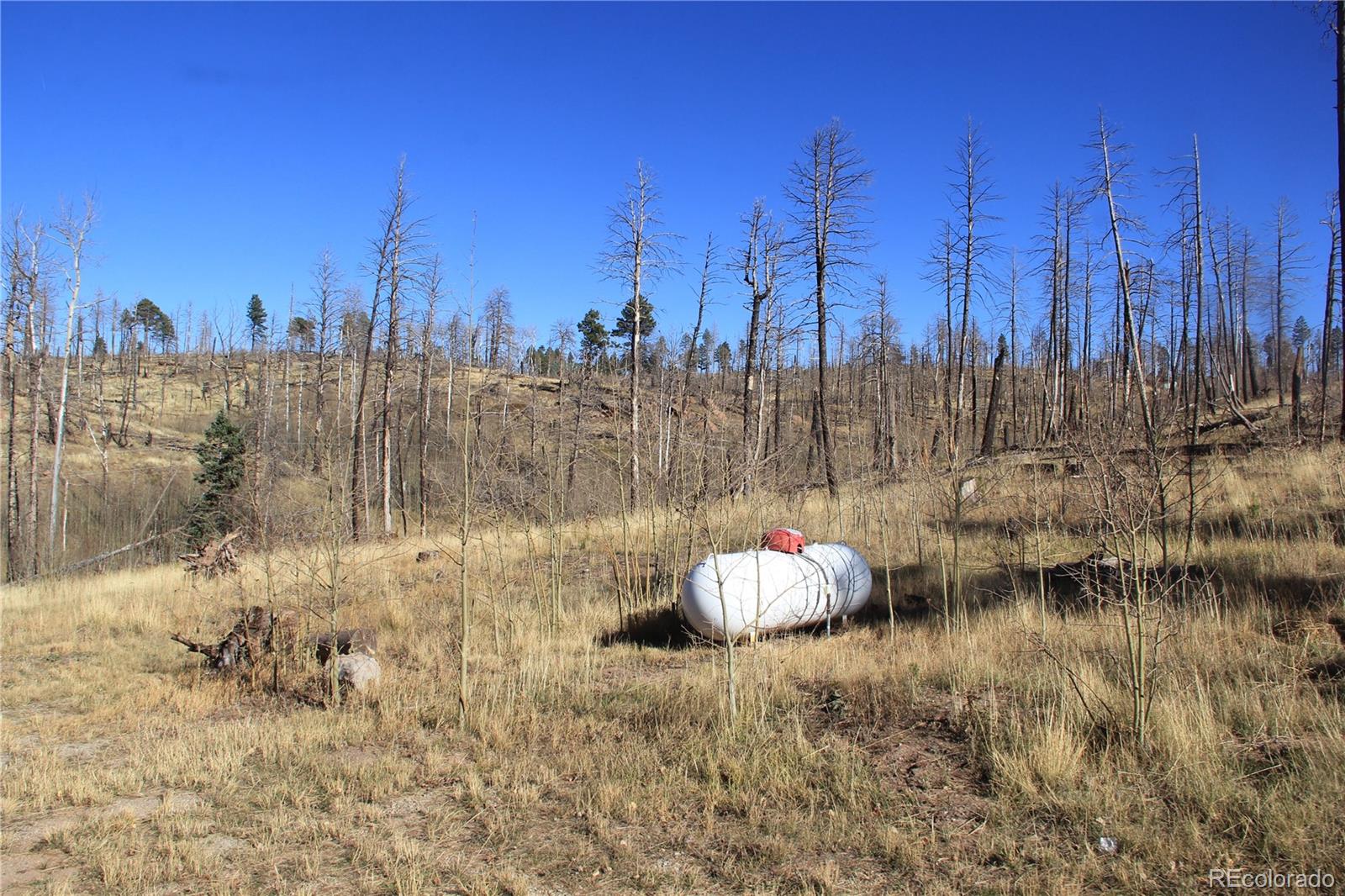 MLS Image #23 for 958  forbes park road,fort garland, Colorado