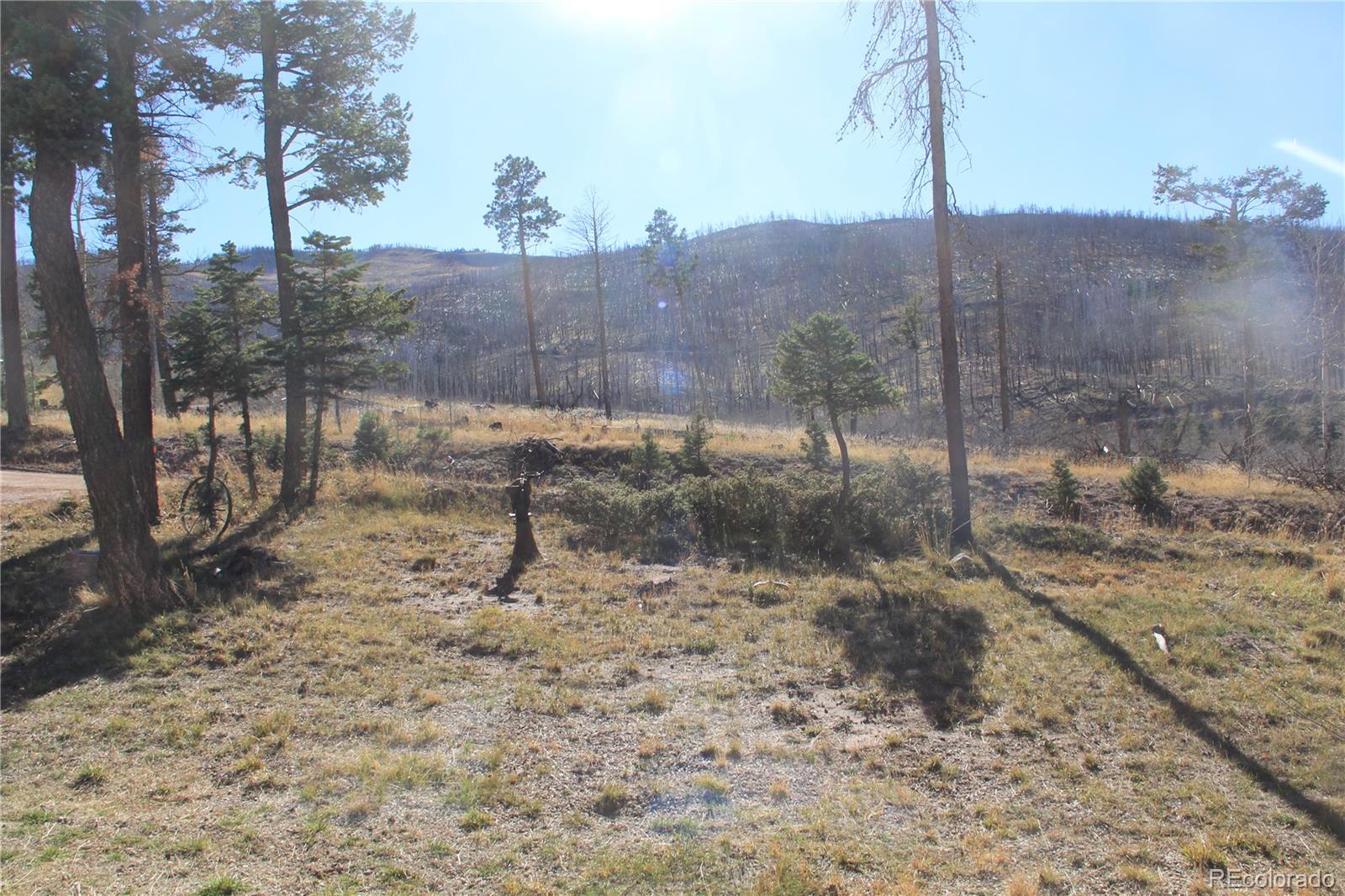 MLS Image #24 for 958  forbes park road,fort garland, Colorado
