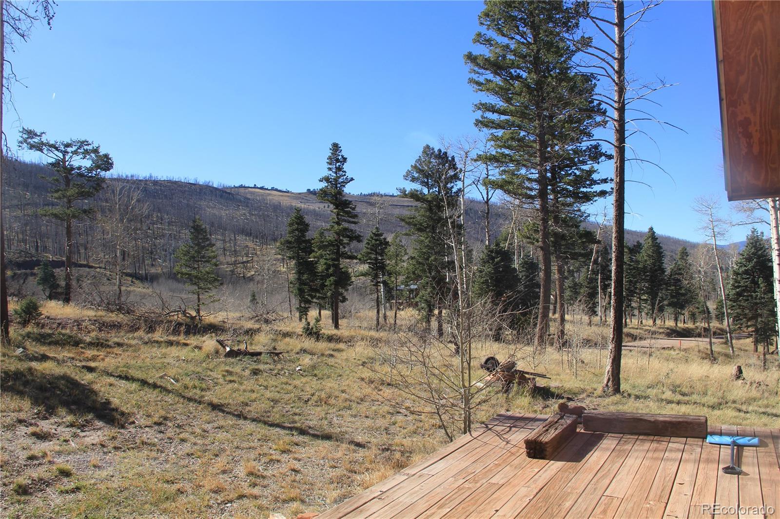MLS Image #26 for 958  forbes park road,fort garland, Colorado