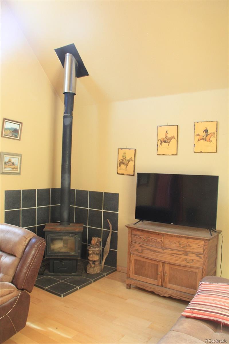 MLS Image #3 for 958  forbes park road,fort garland, Colorado