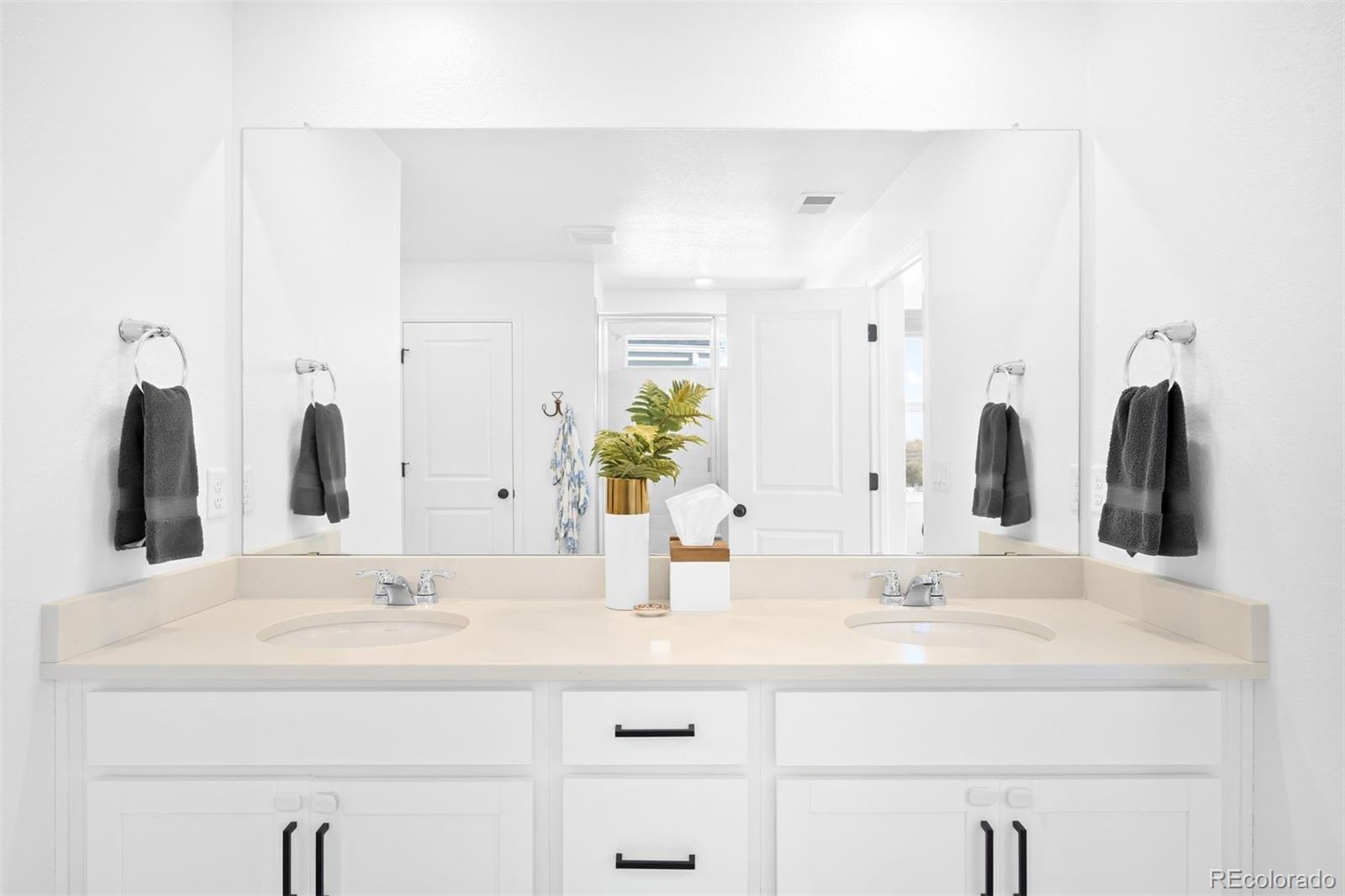 MLS Image #25 for 13273  blue amber court,parker, Colorado