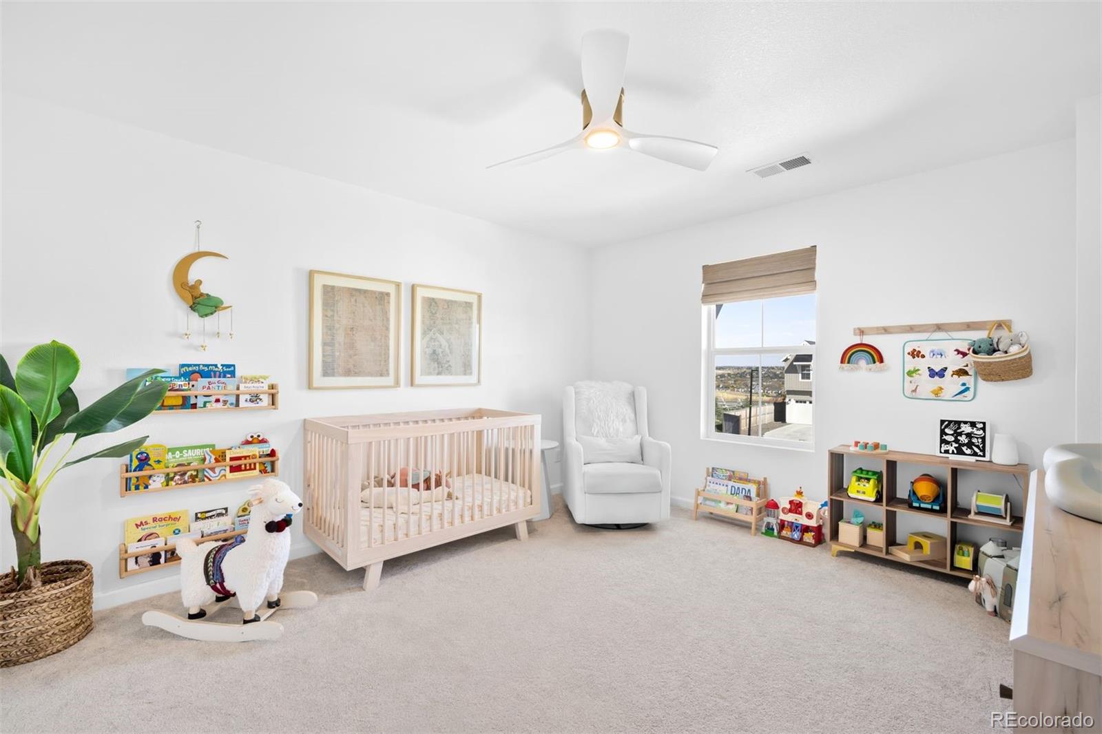 MLS Image #30 for 13273  blue amber court,parker, Colorado