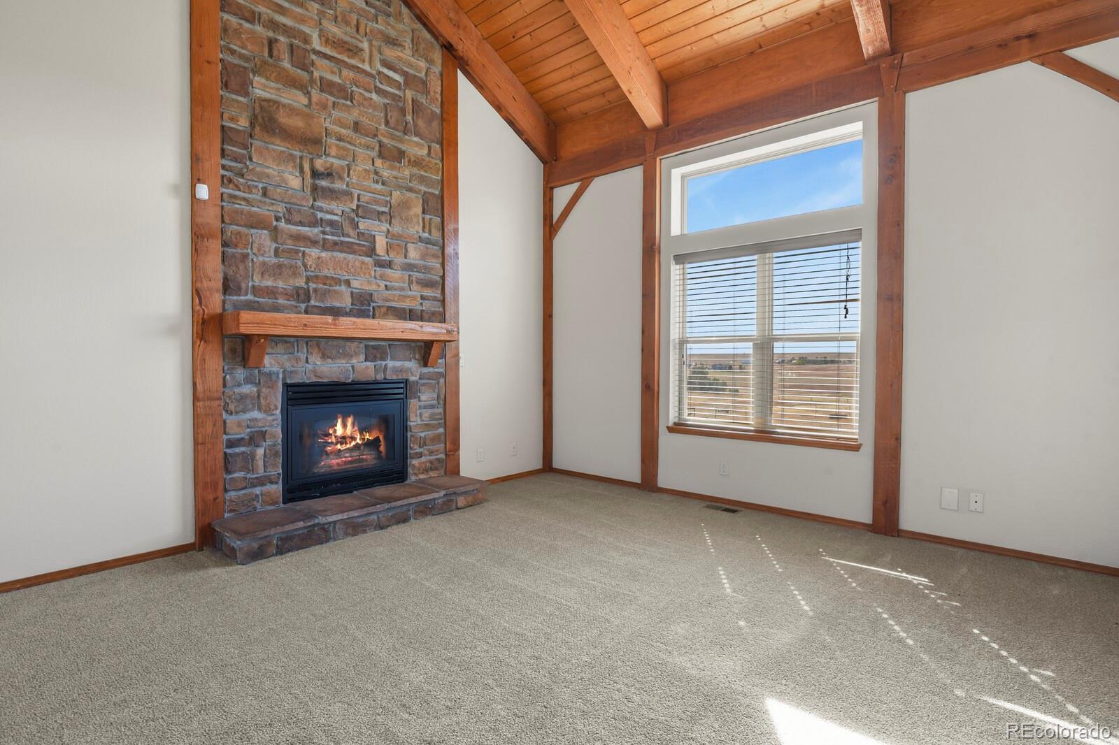 MLS Image #11 for 758  stage run trail,elizabeth, Colorado