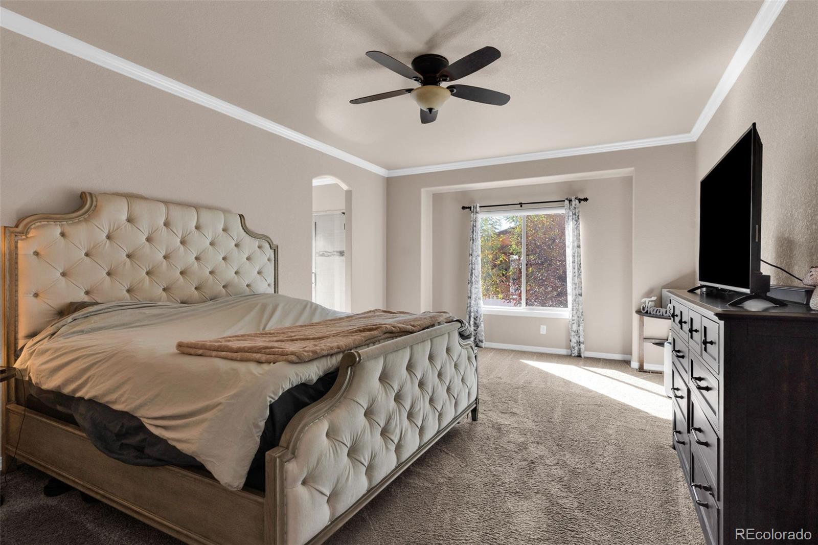 MLS Image #10 for 14  erica court,pueblo, Colorado