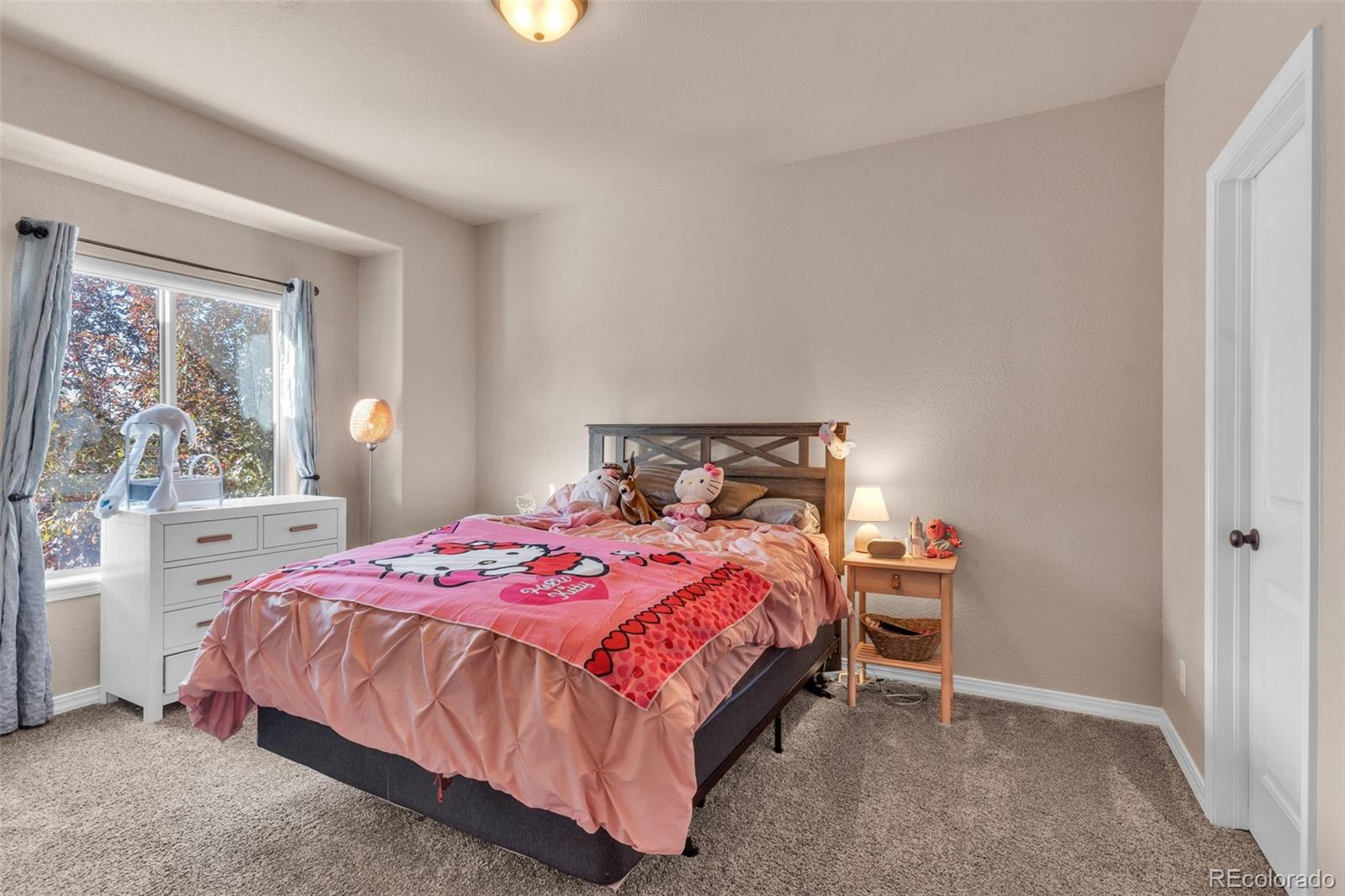 MLS Image #17 for 14  erica court,pueblo, Colorado