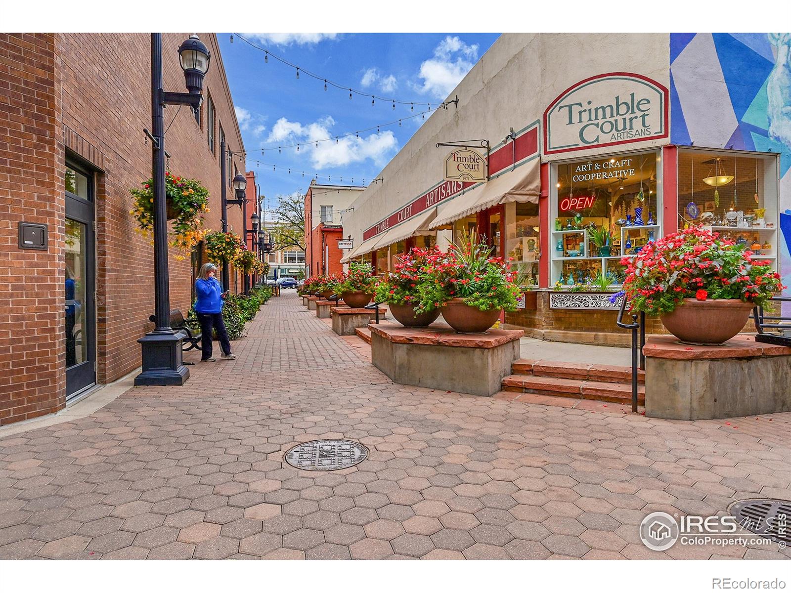 MLS Image #29 for 530  peterson street,fort collins, Colorado