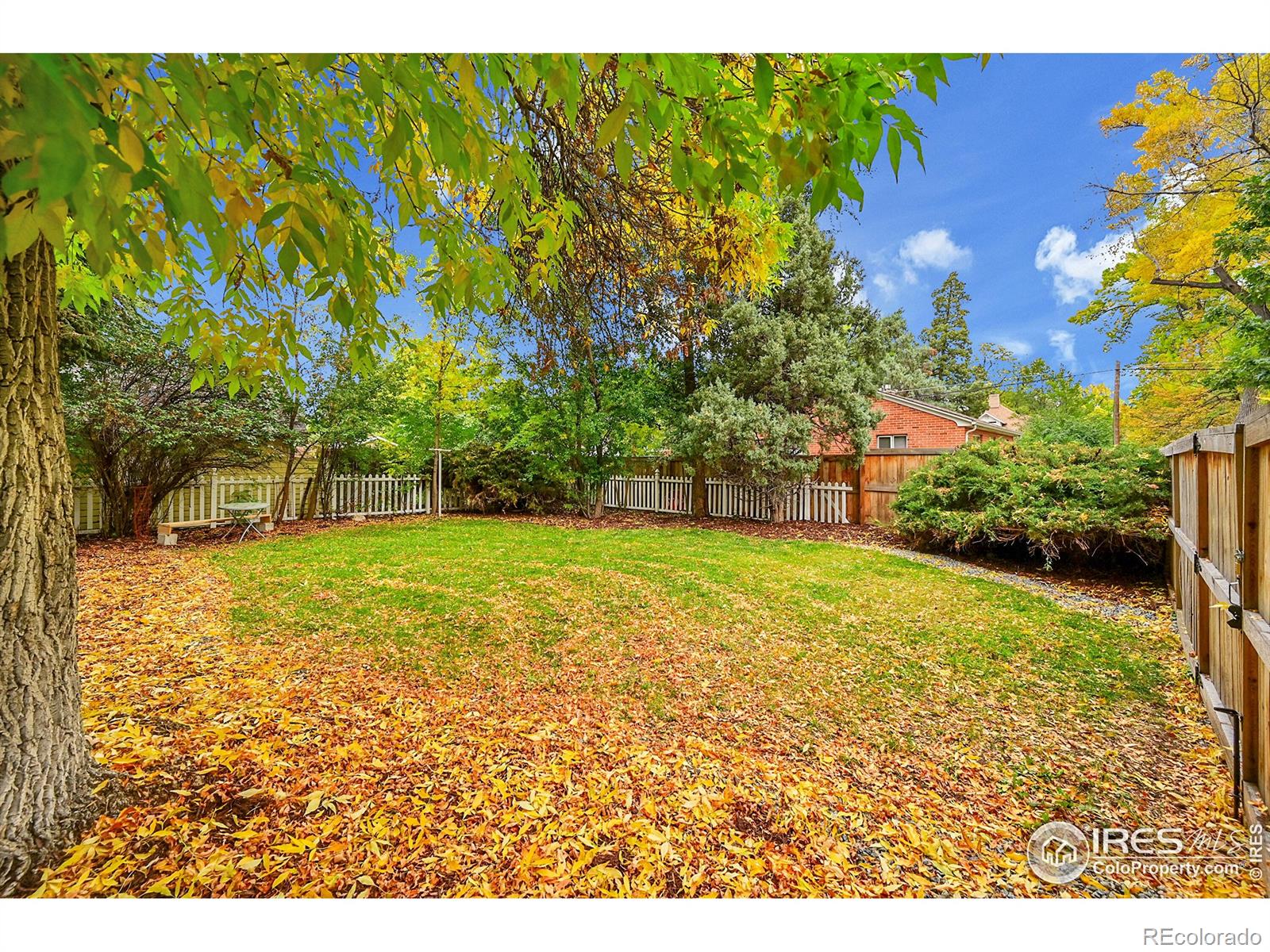 MLS Image #5 for 530  peterson street,fort collins, Colorado